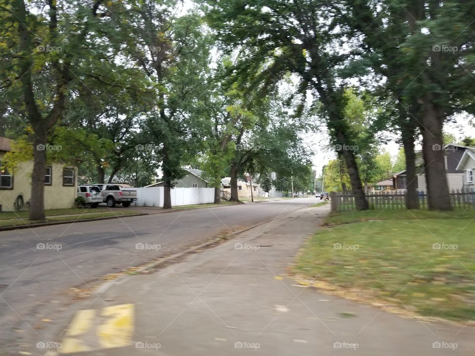 Road, Guidance, Environment, Tree, Landscape