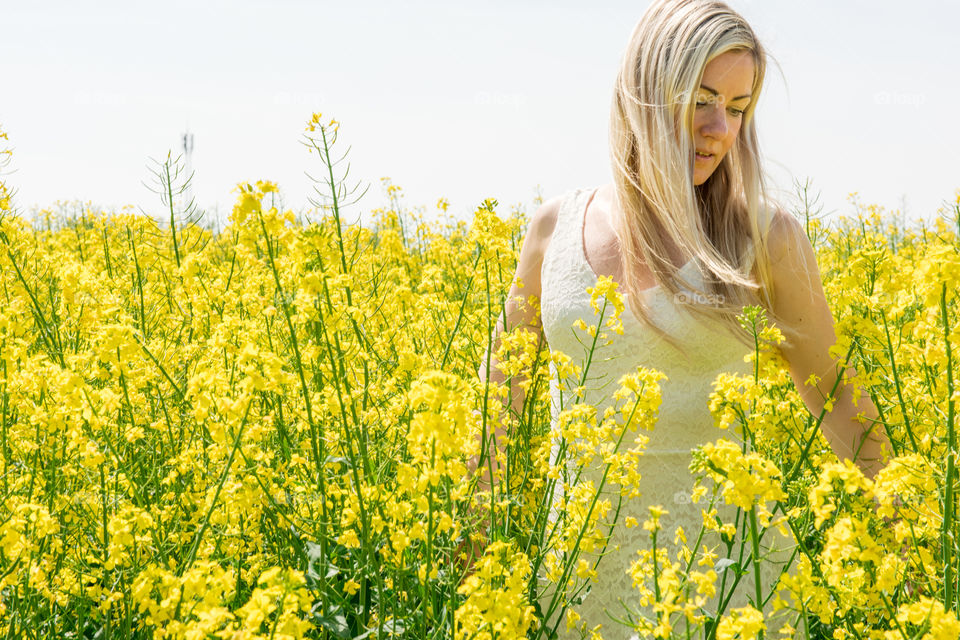 Woman standing in yellow flower field