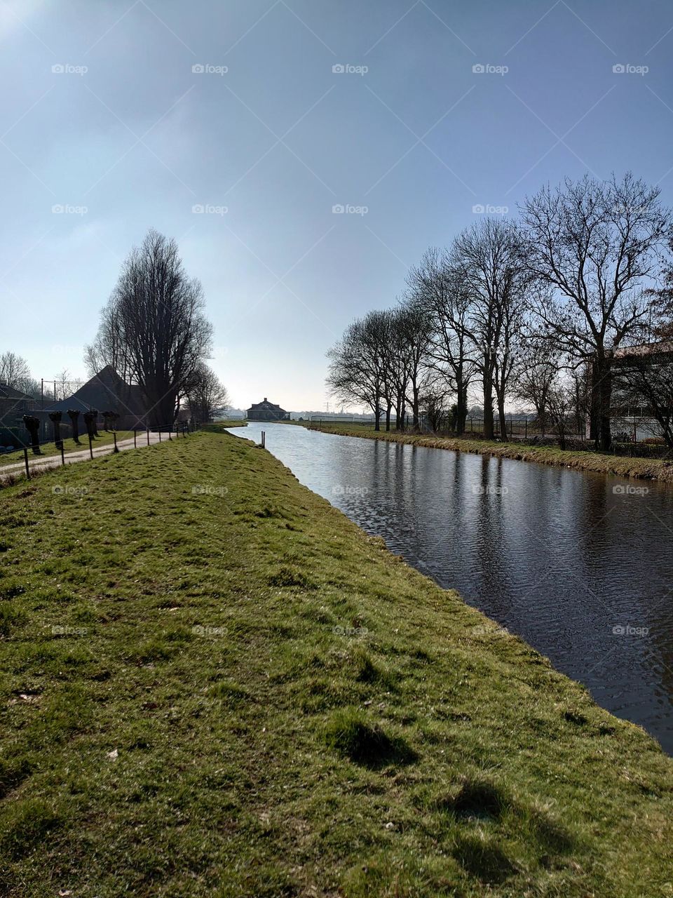 Dutch landscape