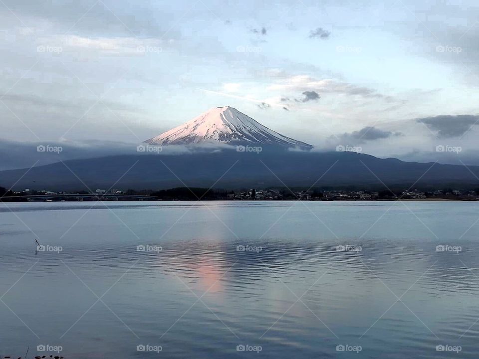 Fuji san