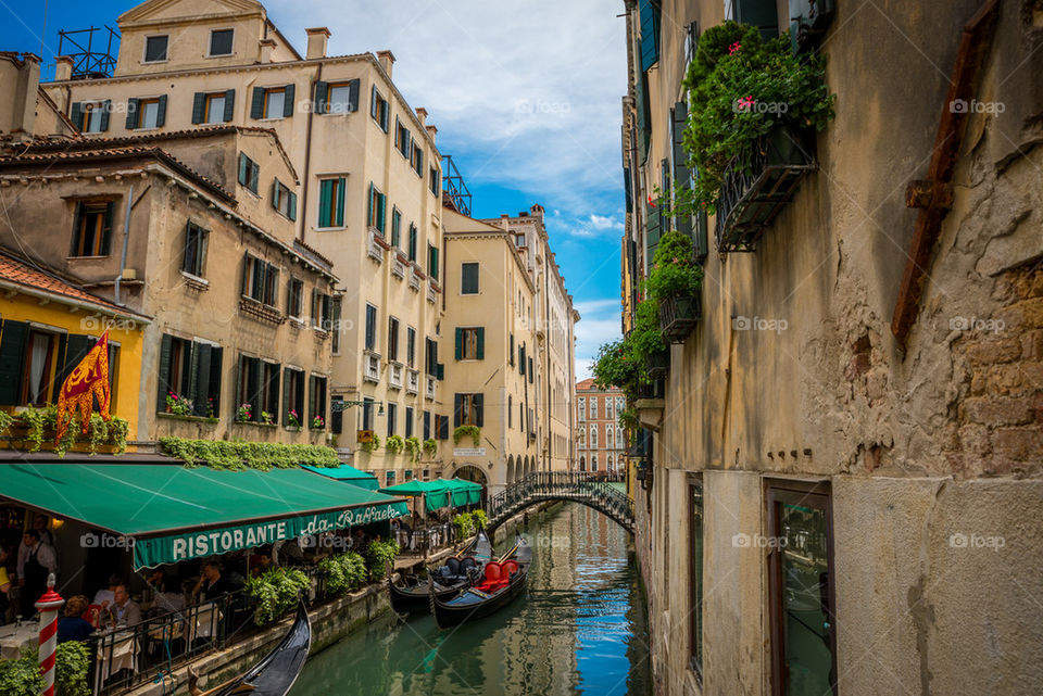 Summer in Venice