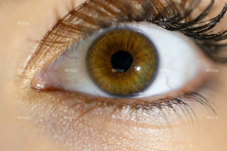 Beautiful and detailed close up of a hazel-green eye