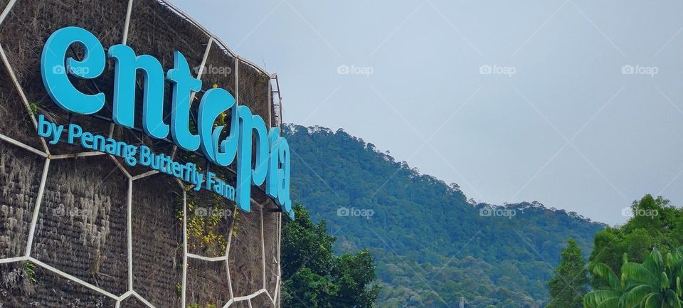 Nature Photo Shoot at PENANG Butter Fly Farm which situated hilly surround area's of the beautiful destination which gives you the pleasurable moments for photographers. Countryside Trip is mandatory on each weekends.