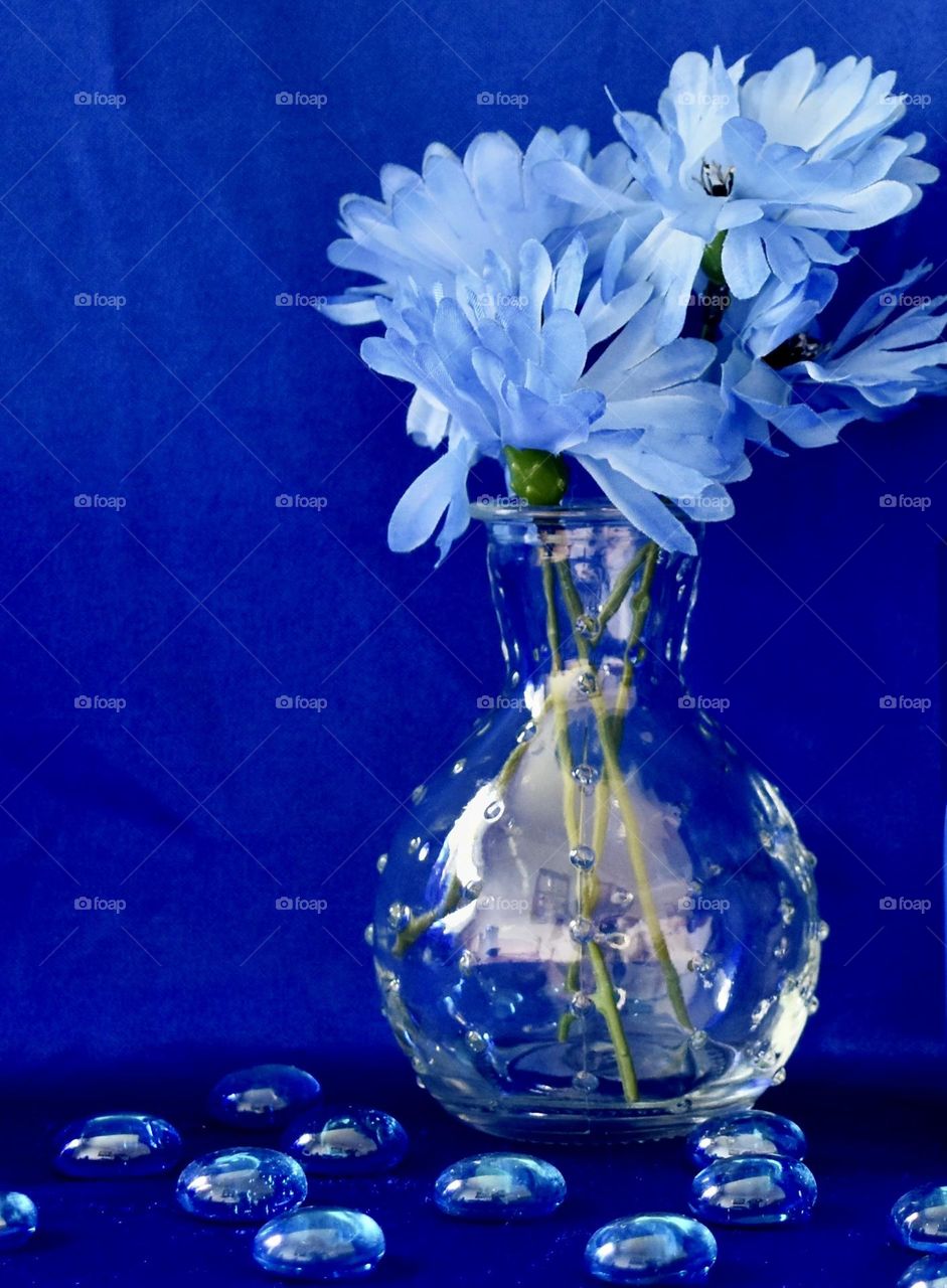 Blue, blue, blue.  Blue flowers in a vase with a blue background 