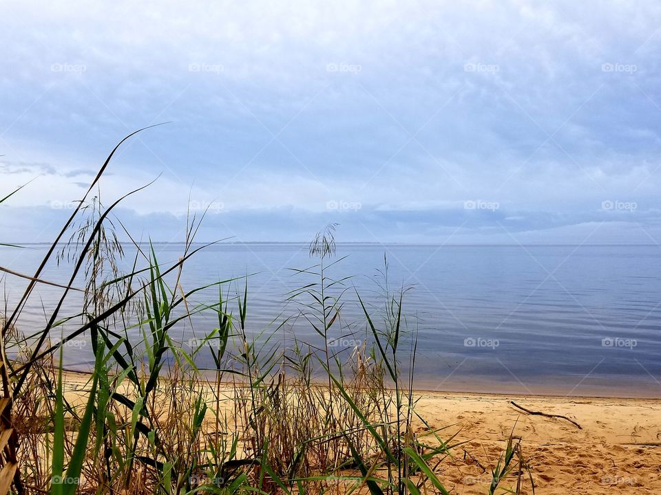 Scenic  Coast Florida
