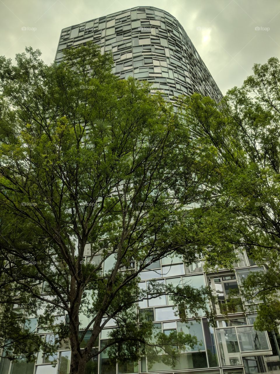 New York City Skyscraper with trees