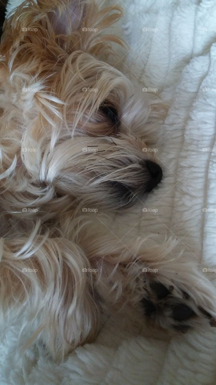 Such a lazy day for this baby...