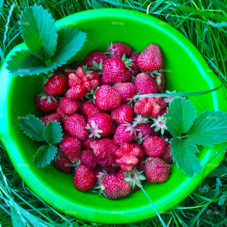 Ripe red strawberries.