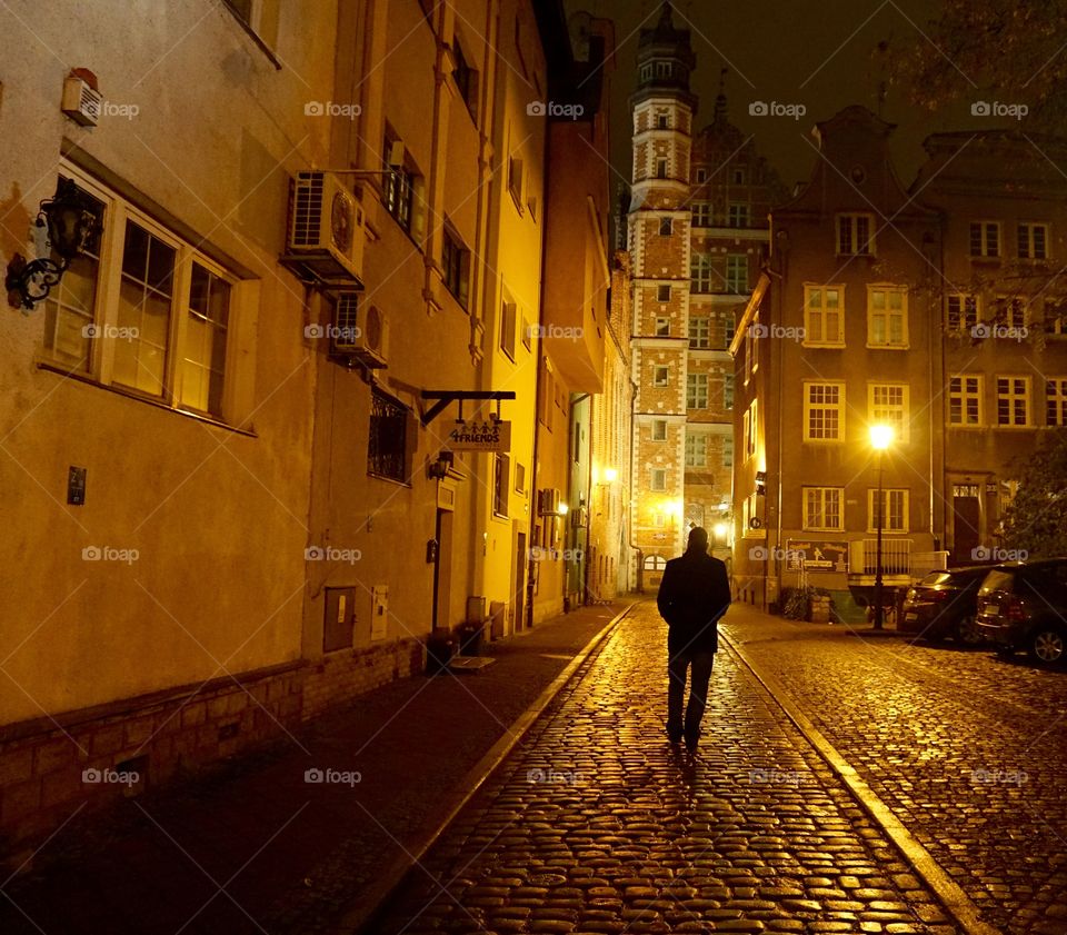 Gdansk Silhouette