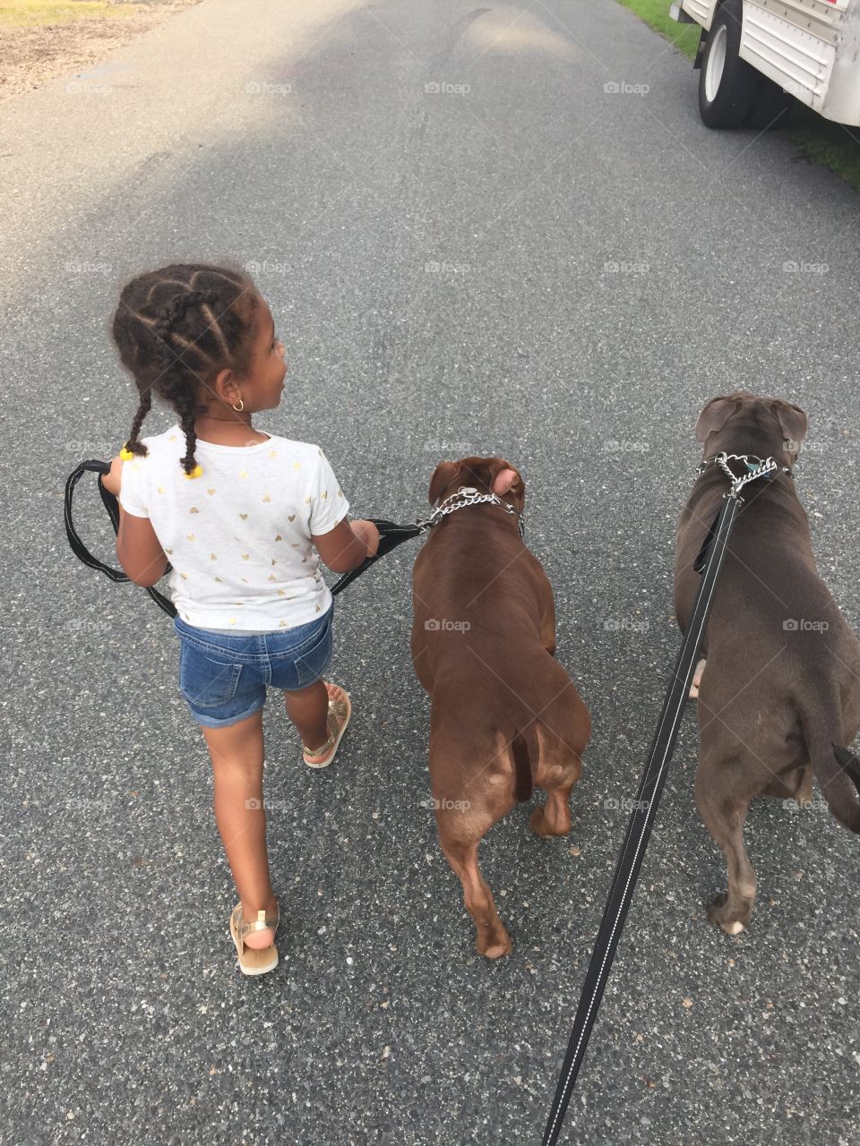 My 5 year old out on a walk! 