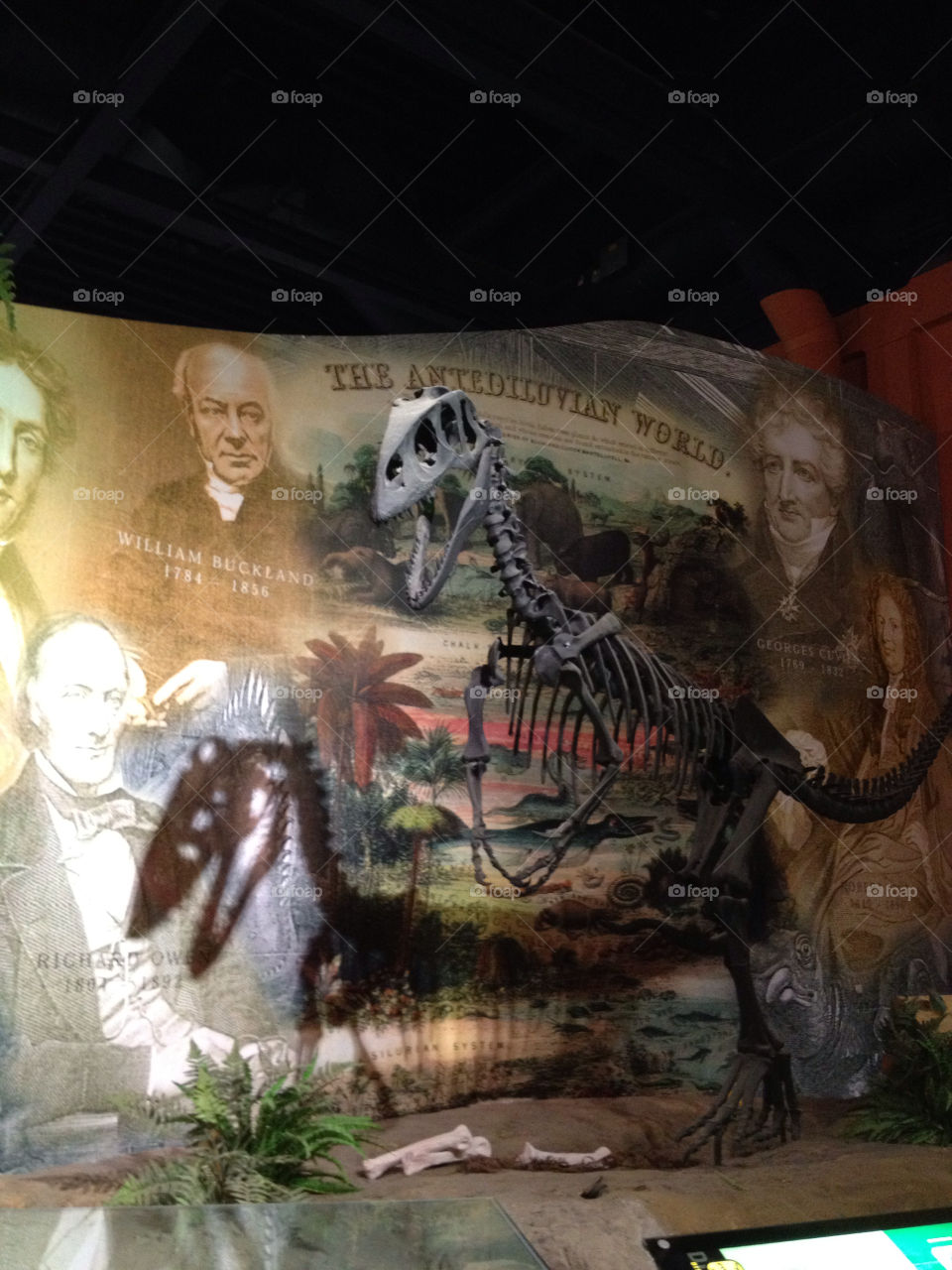 teeth shadow history old by mrm