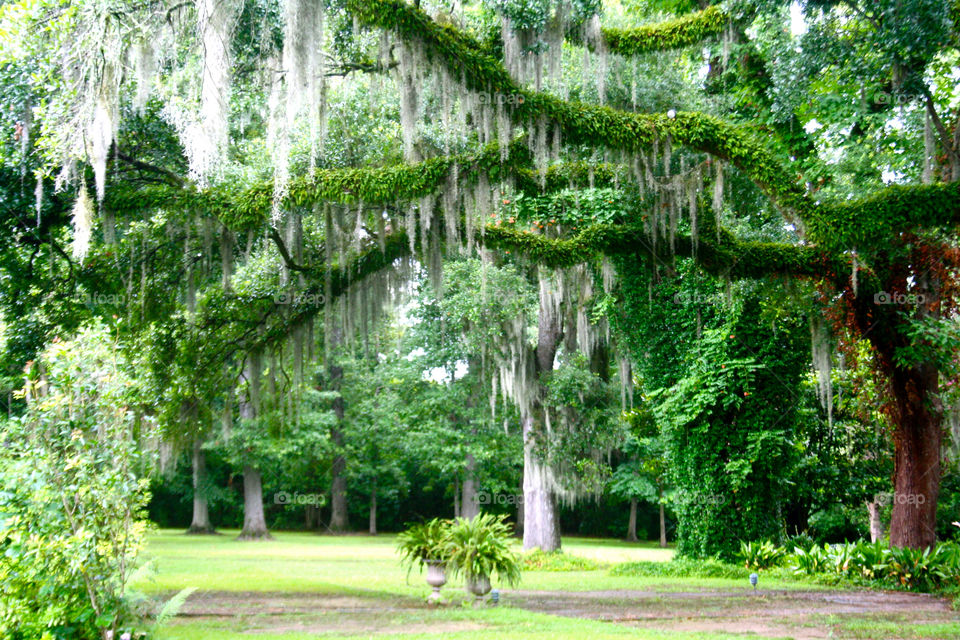 Louisiana