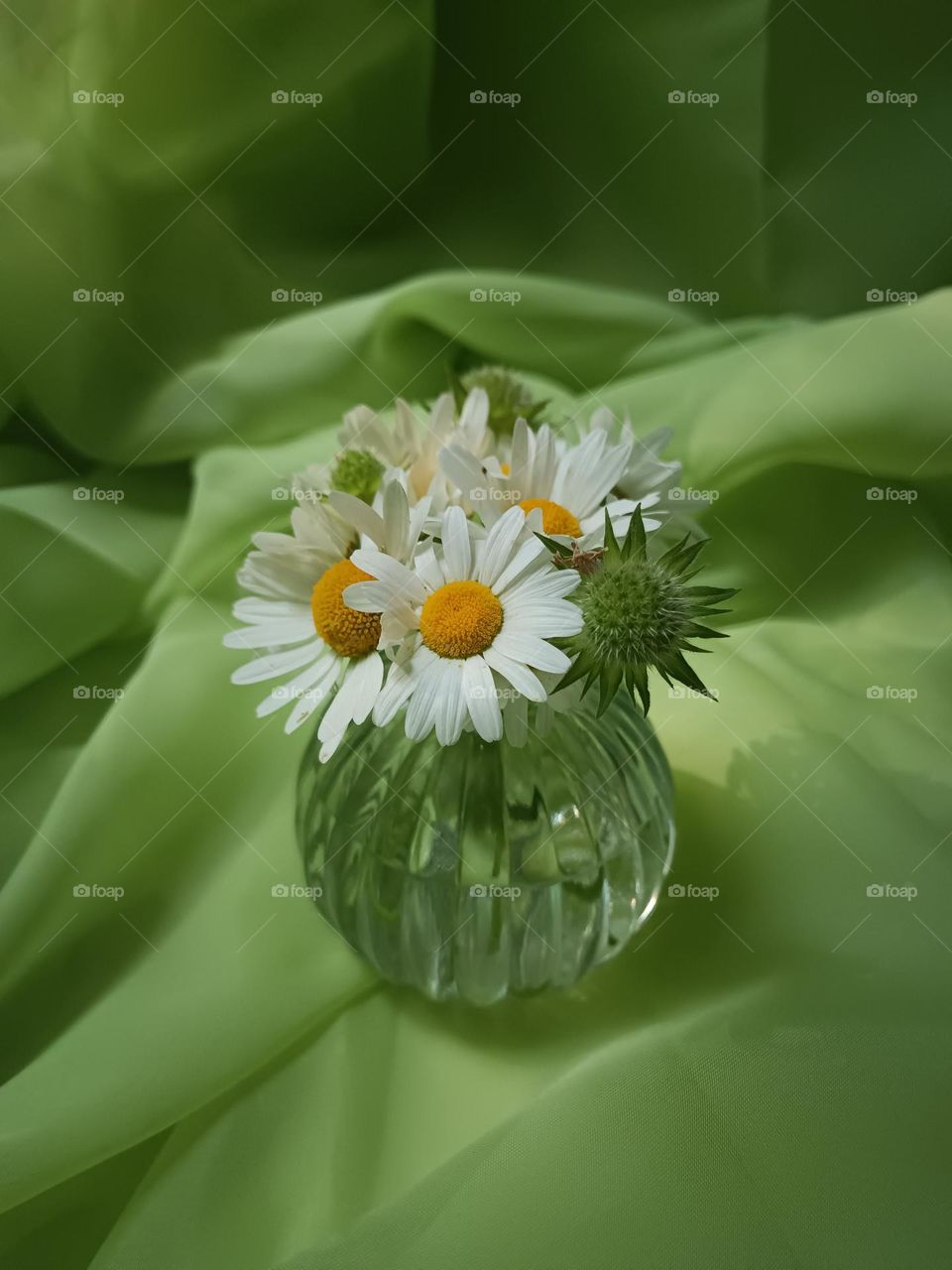 Daisies in a round vase on a green background