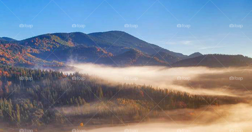 Travel around the world