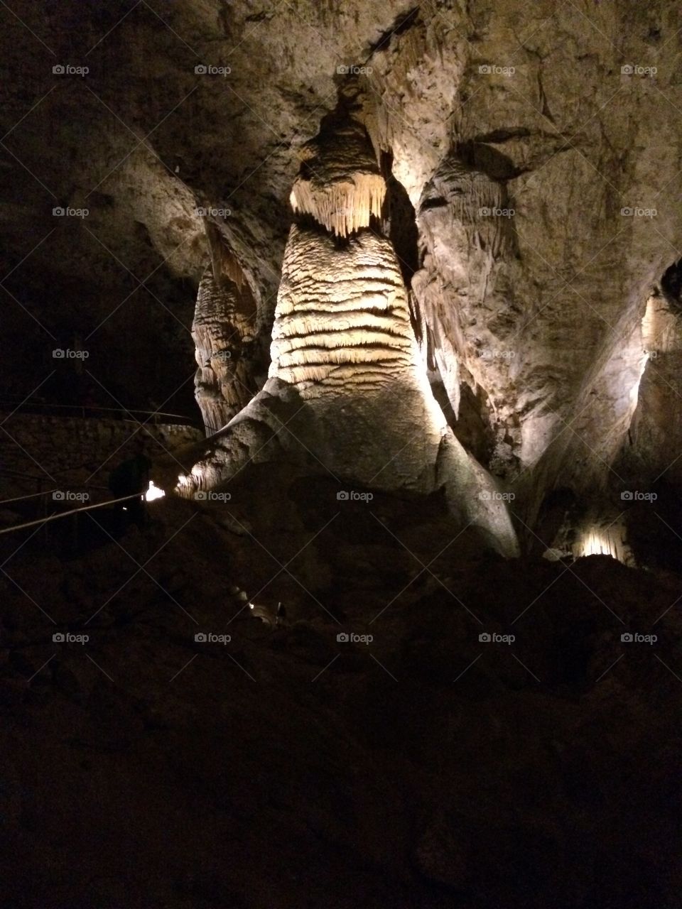 Walrus formation, Carlsbad caverns