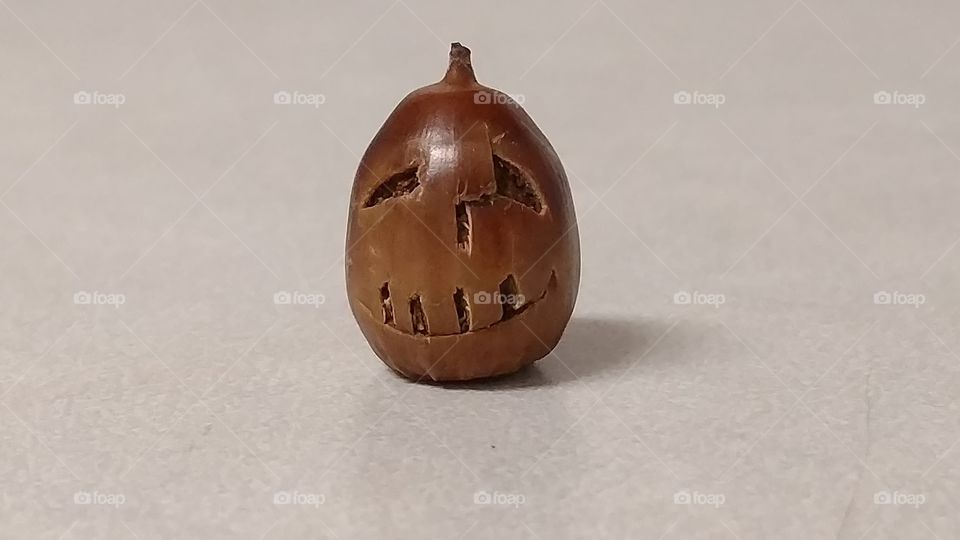 No Person, One, Still Life, Food, Grow