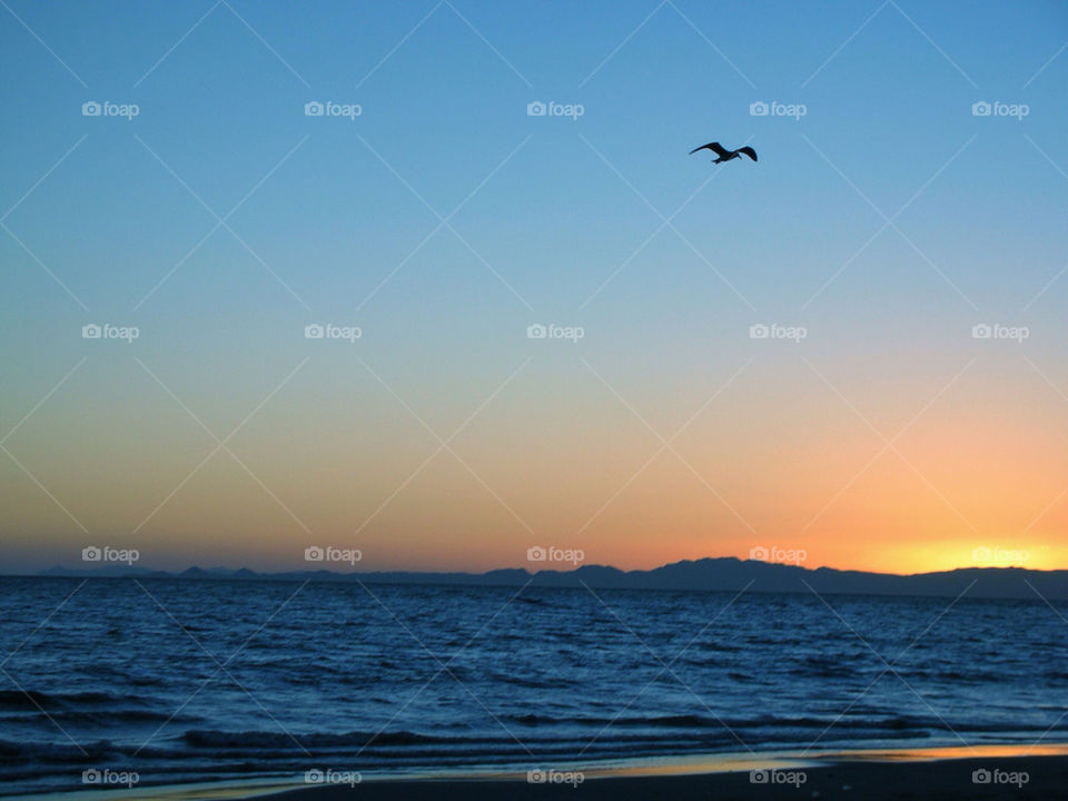 beach sky summer sunset by geraltamirano