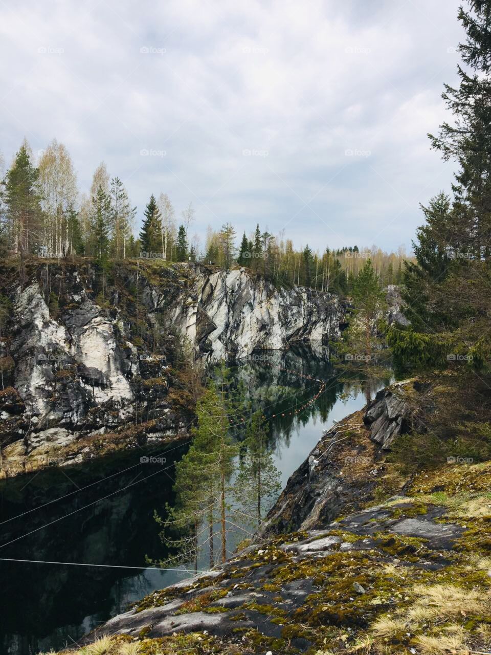 Рисунки природы