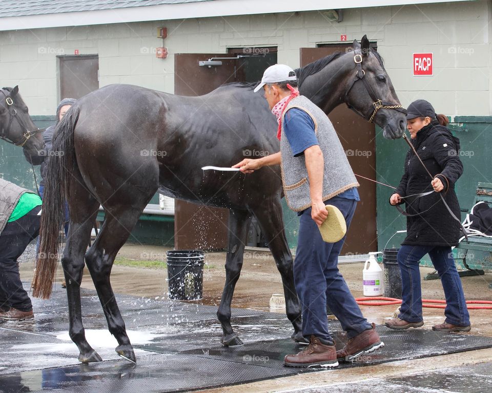 Backstretch with Fleetphoto