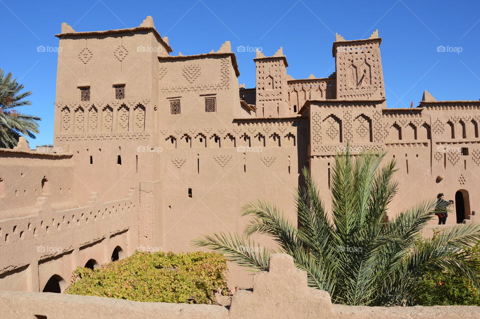 Marrocco