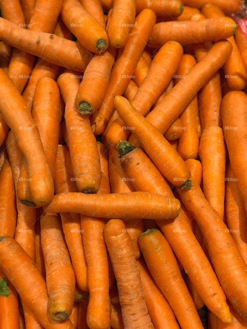 Many organic carrots