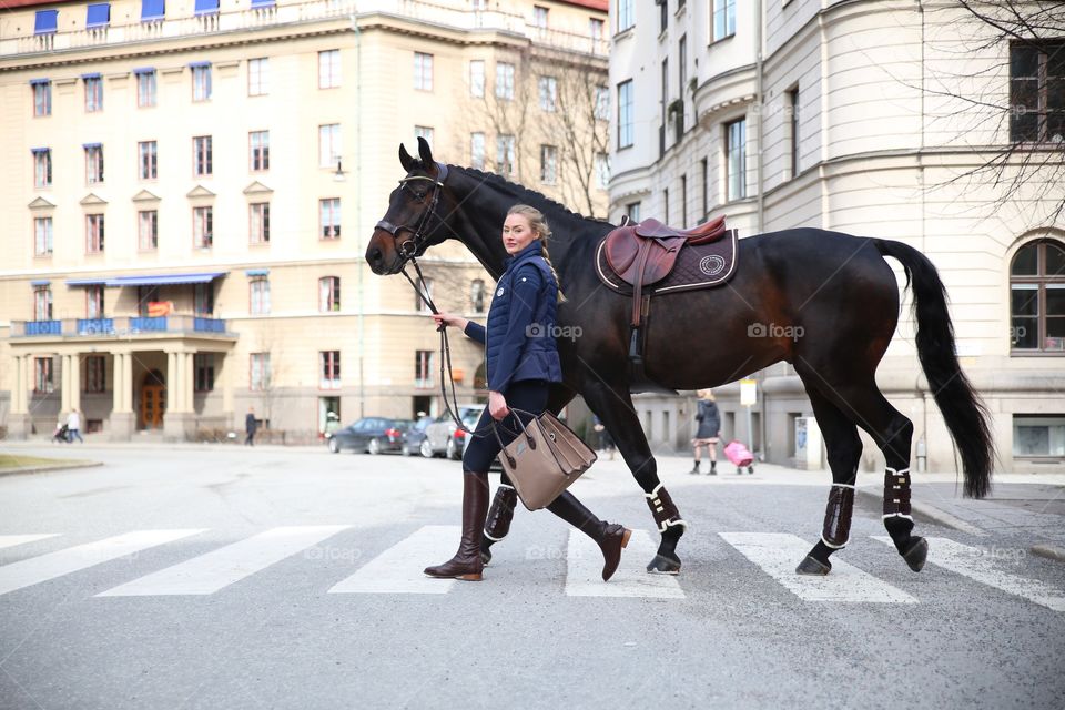 Combining two worlds. Charming city with majestic horse friend, let’s go shopping 🛒