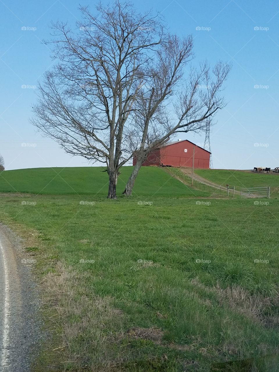 red barn green hill