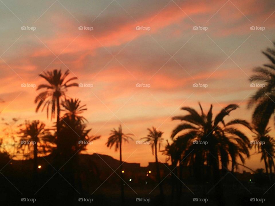 magic and wonderful sunset between palm trees at Marrakesh city in Morocco.