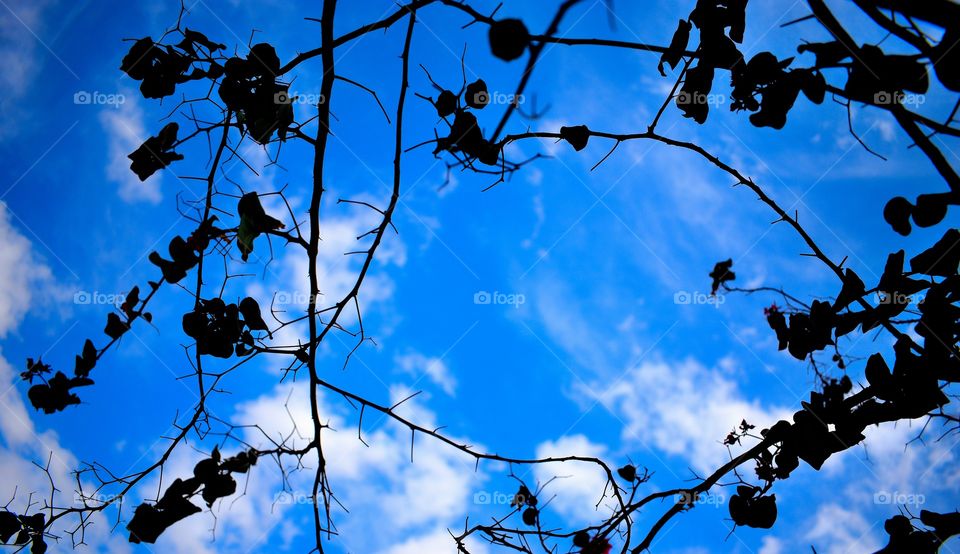 bule sky , cloudy sky