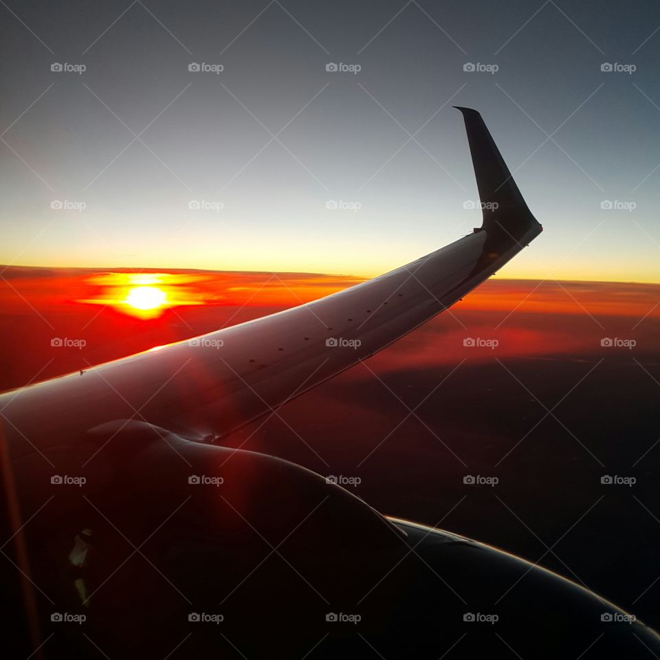 Flying with the sunset 