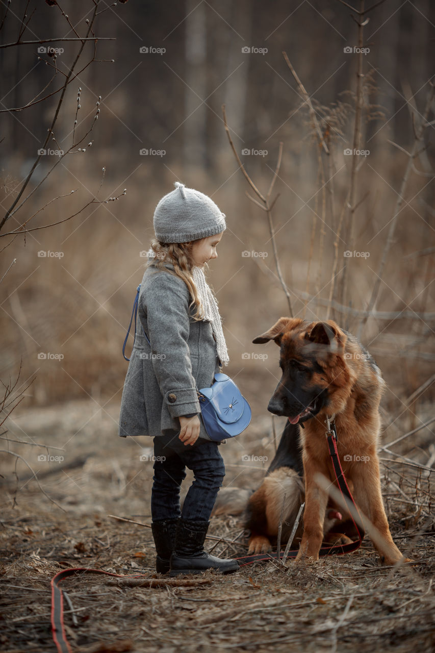 Little girl with German shepherd young male dog walking outdoor at spring day