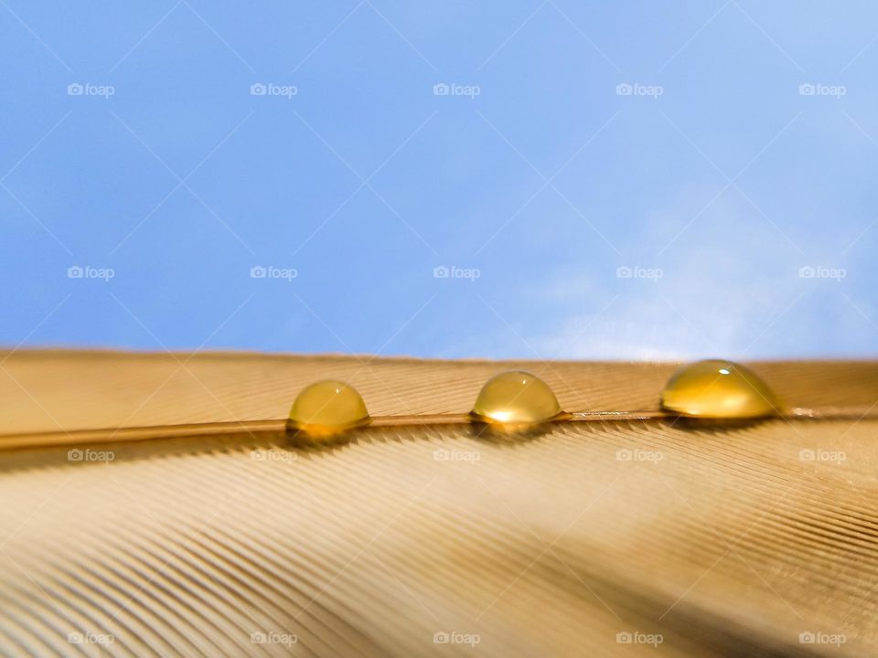 Three drops of liquid