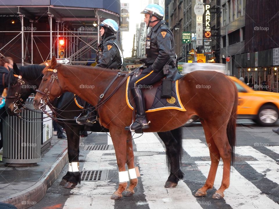 NYPD on horse