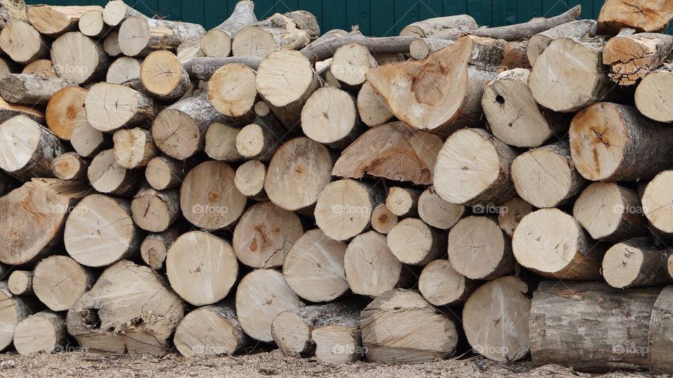 Wood, Tree Log, Log, Wooden, Firewood