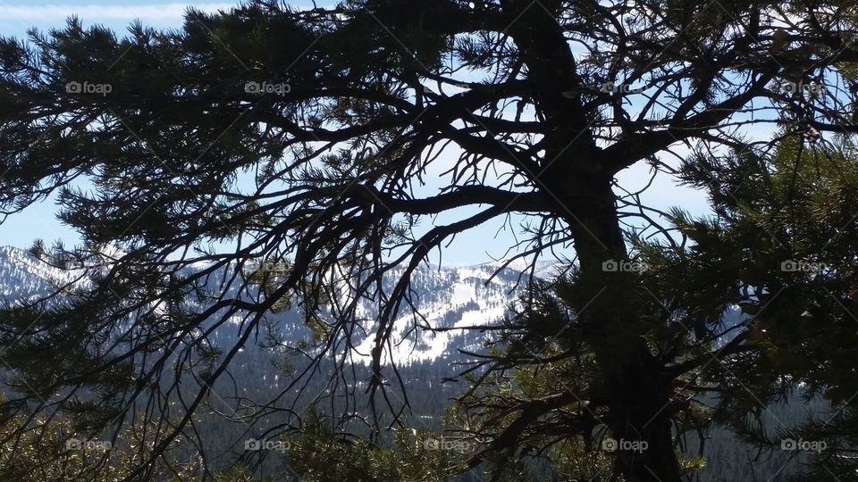 Beautiful day in Big Bear