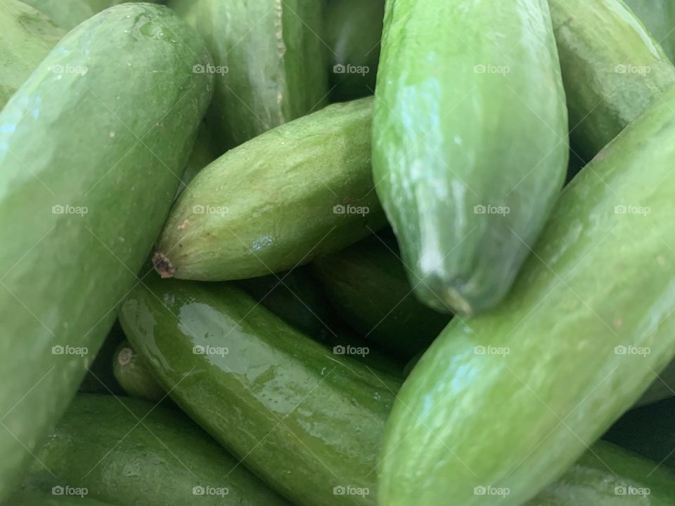 Cucumbers closeup 