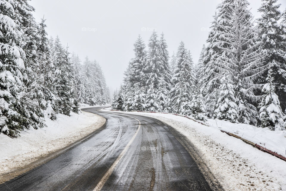 Snow, Winter, Wood, Frost, Road