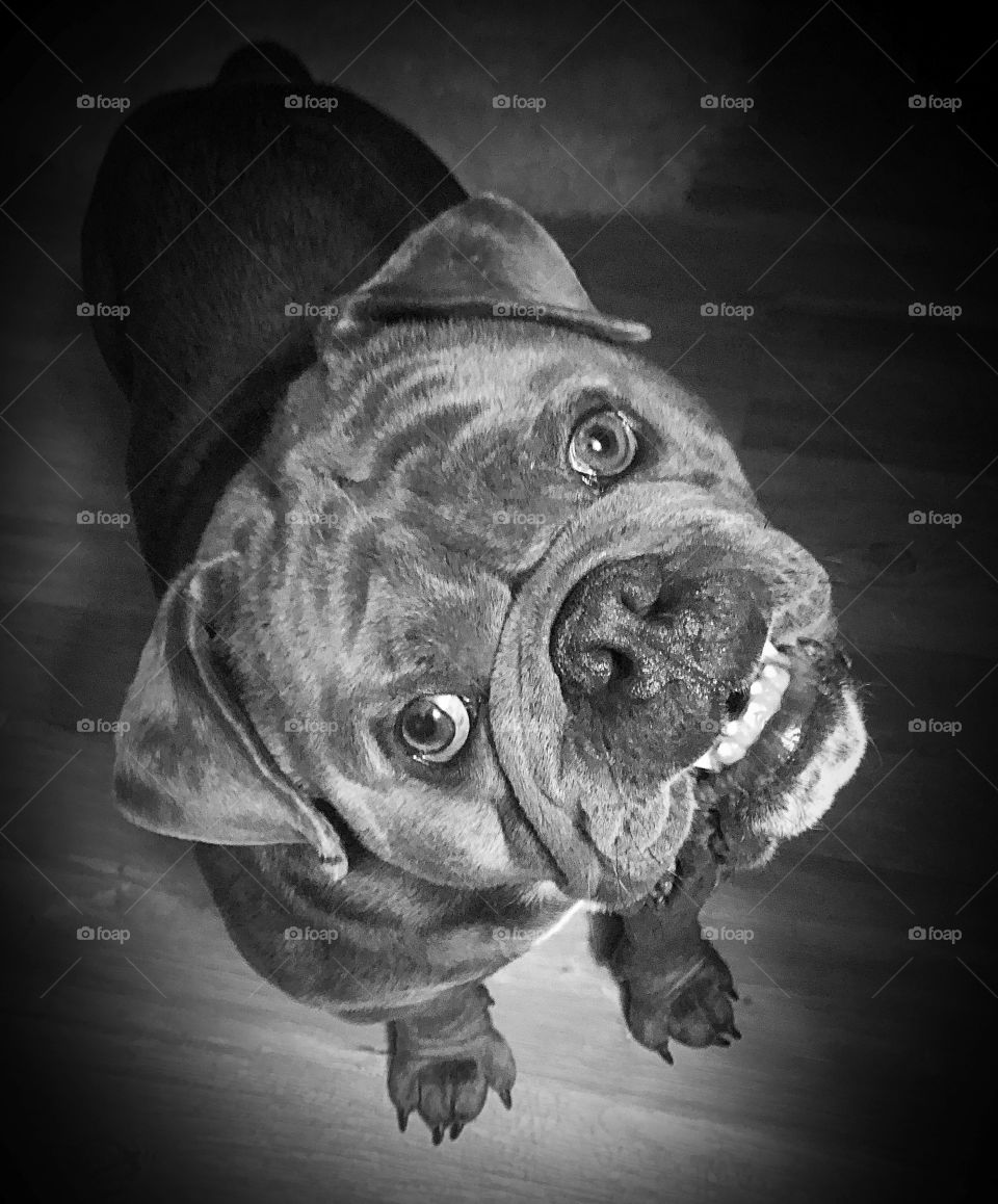 A face only a mother could love 