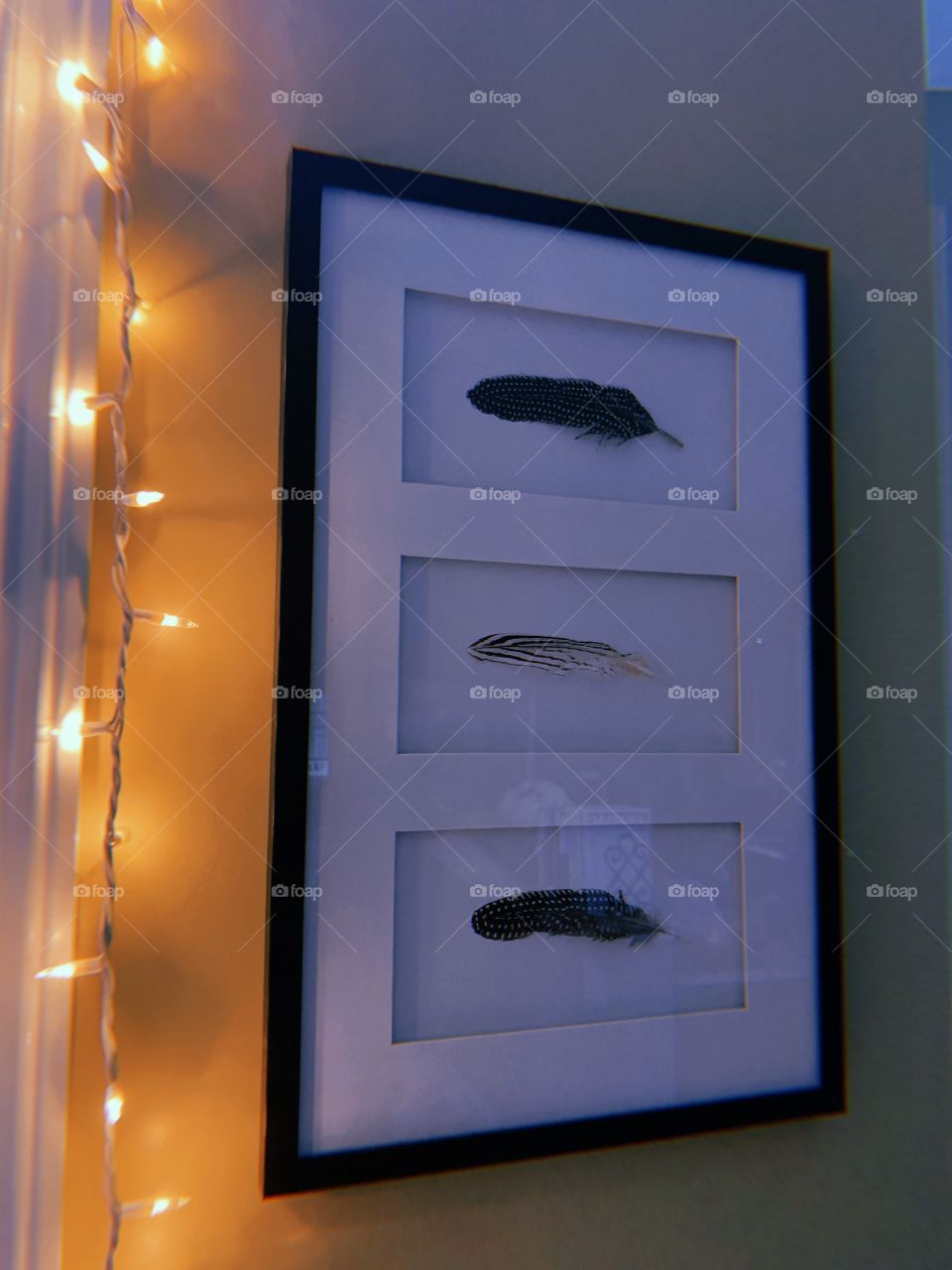 feather wall hanging