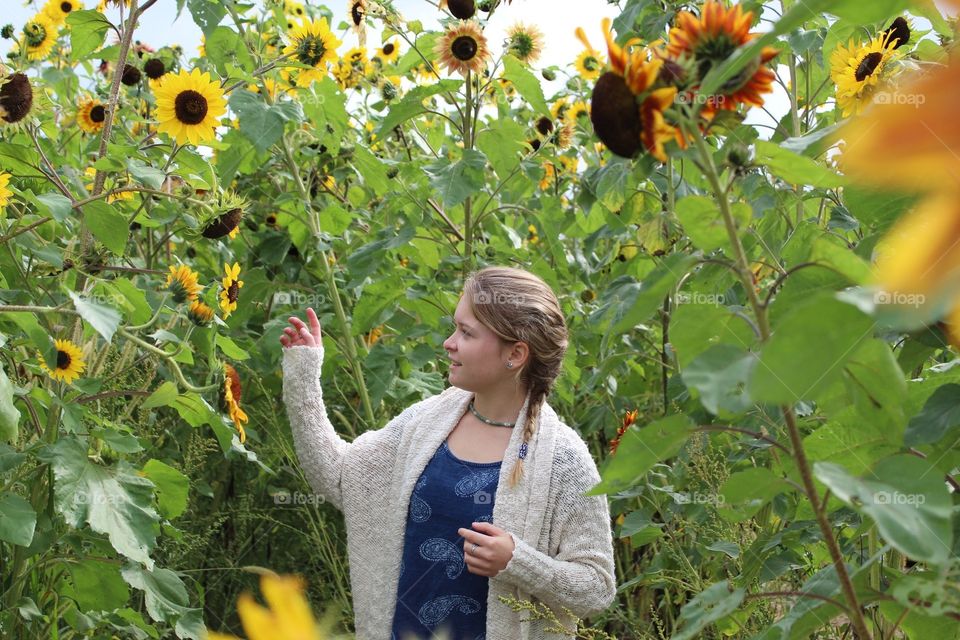 I’ll choose.... that one! Just a walk in some sunflowers 
