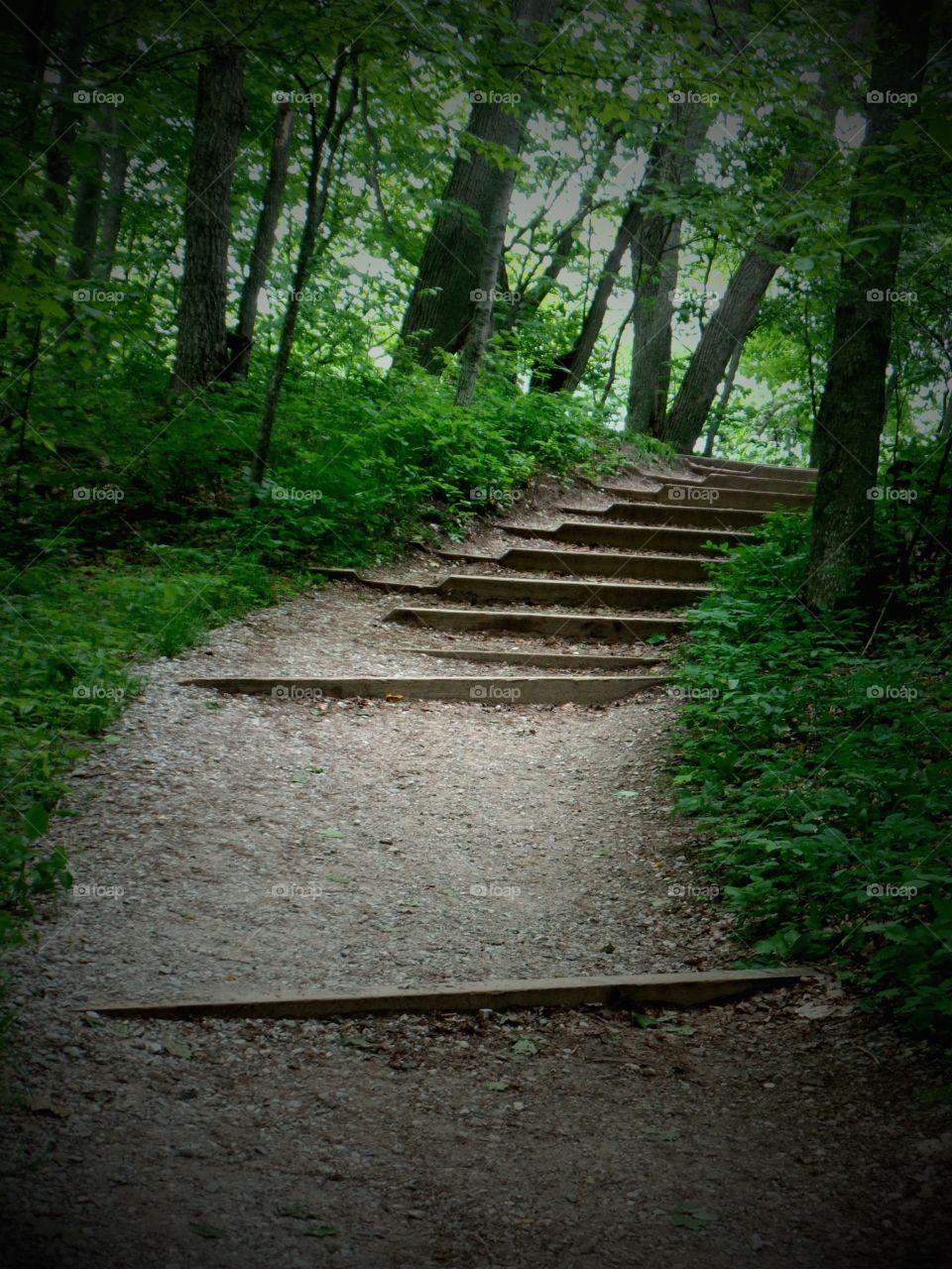 Empire Bluffs
Michigan 