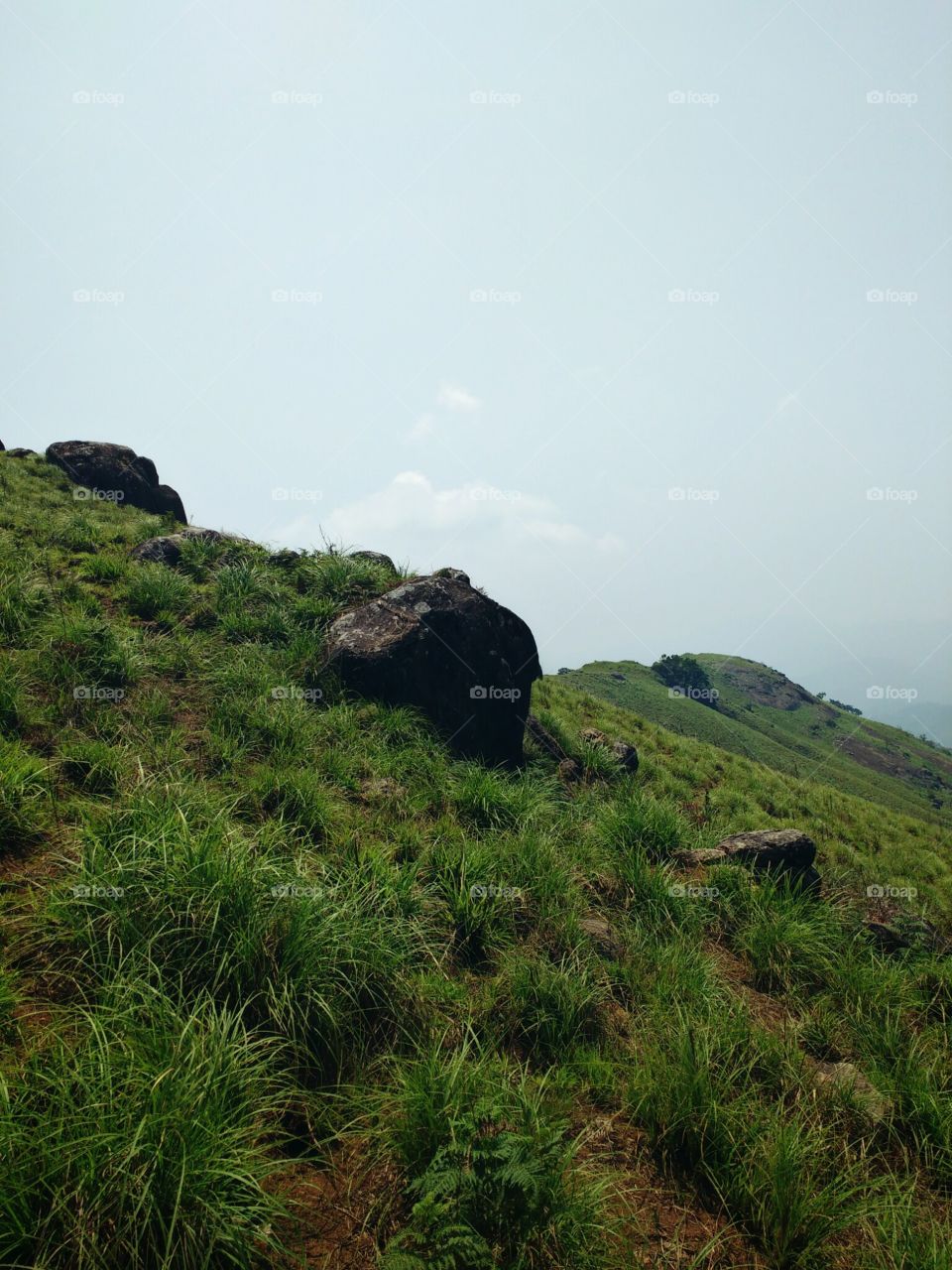 rocks on landscape