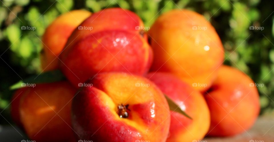 Fresh Peaches