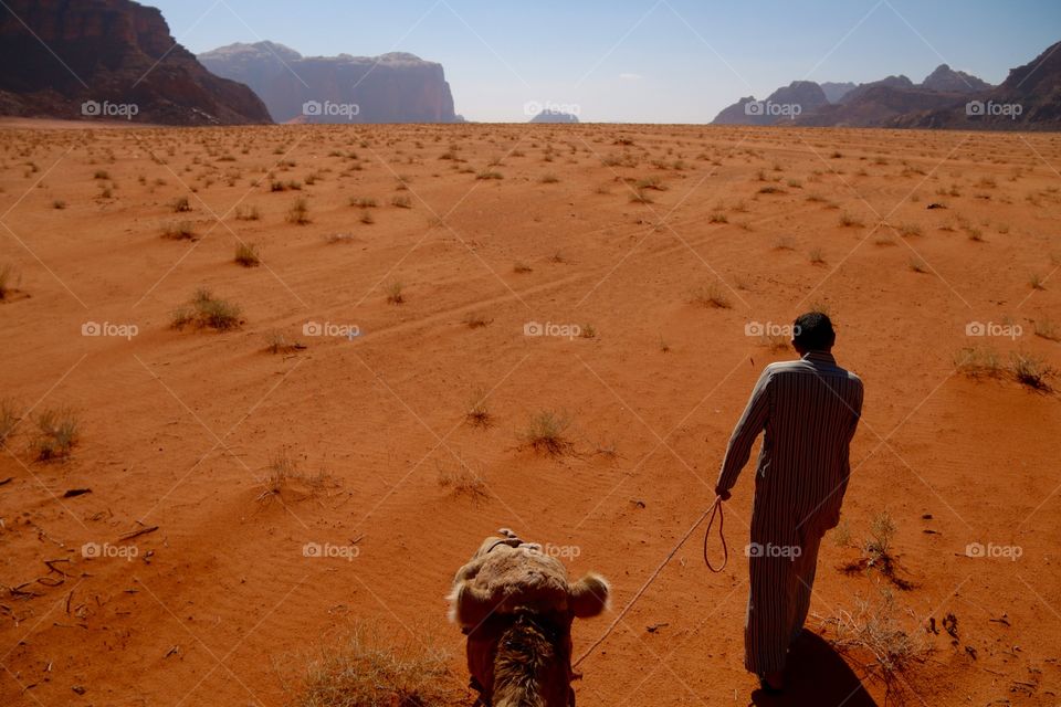 Camel riding in Wadi Rum