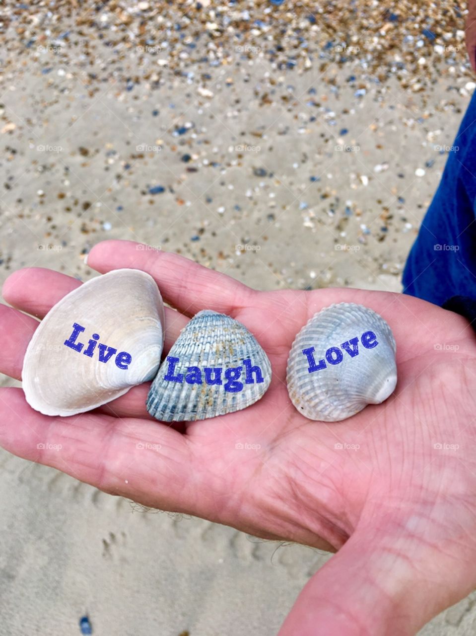Collecting seashells along the beach.  Live Laugh Love
