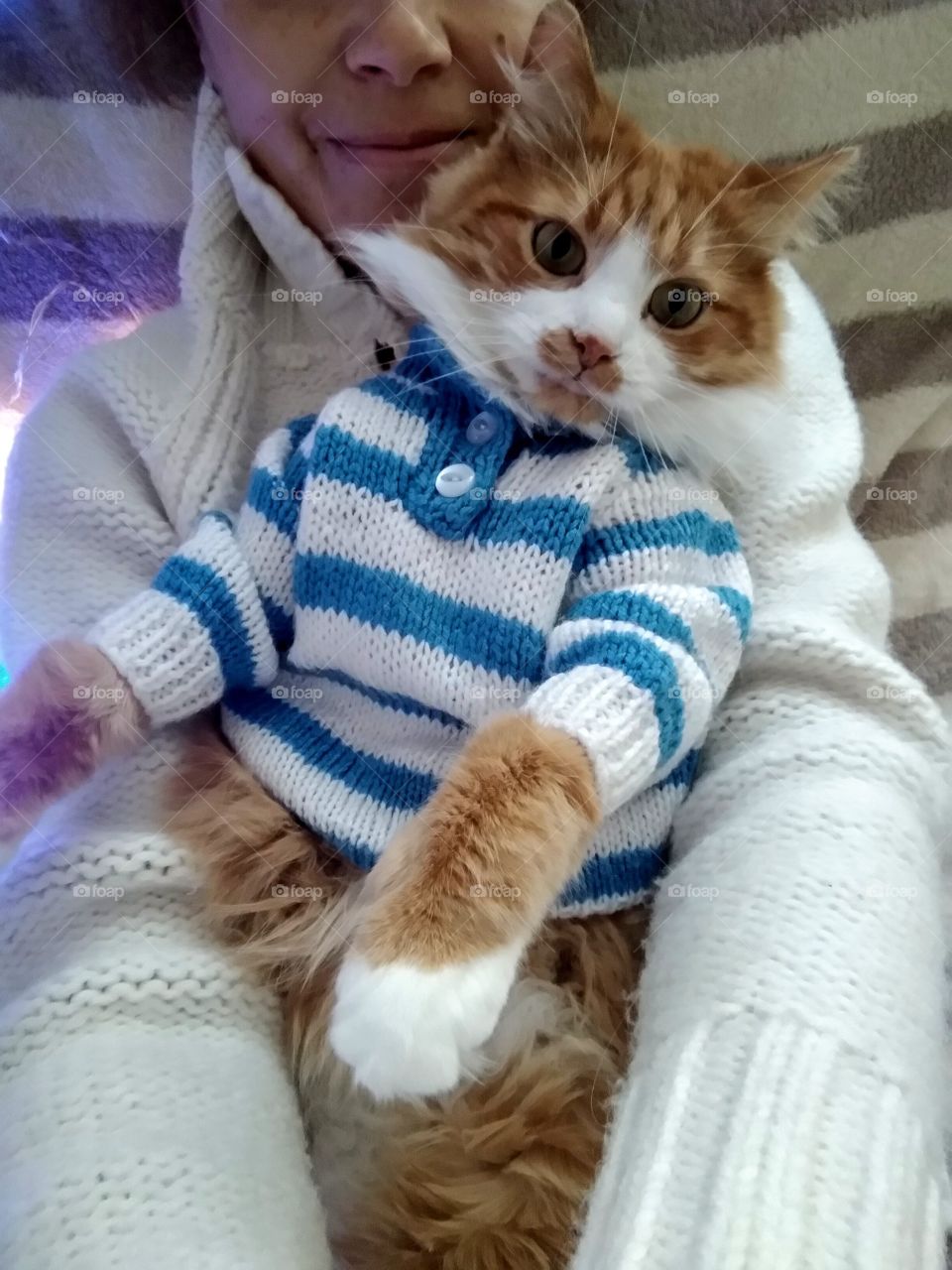 selfie girl with cat pet in the sweater