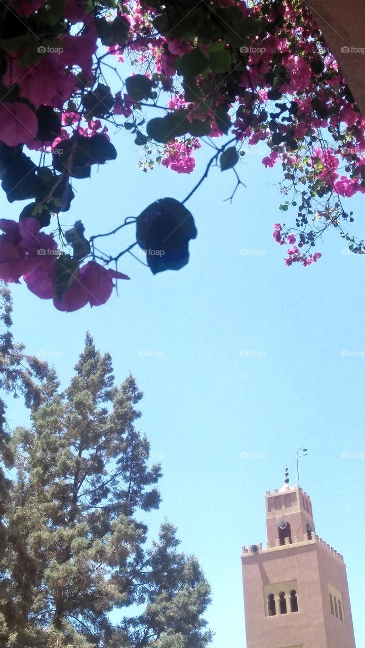 Beautiful flowers and view to minaret mosque.