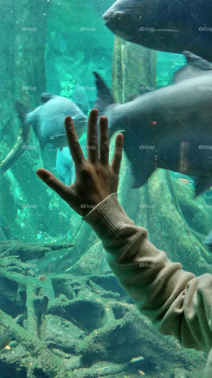 hands
