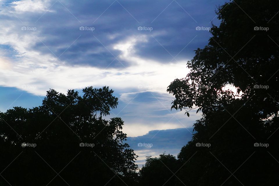 blue sky with clouds and tree