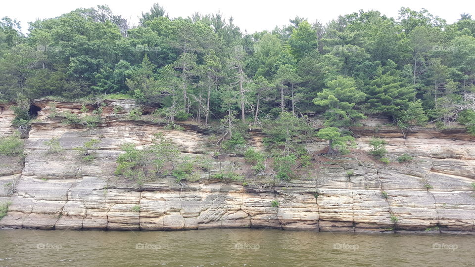 tree's growing along the rock formations along Wisconsin River